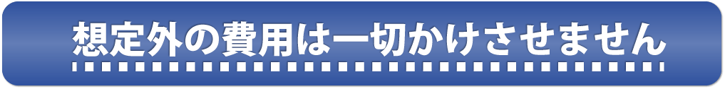 想定外の費用は一切かけさせません